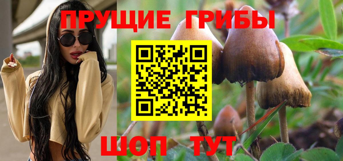 Псилоцибиновые грибы мухоморы Усолье-Сибирское